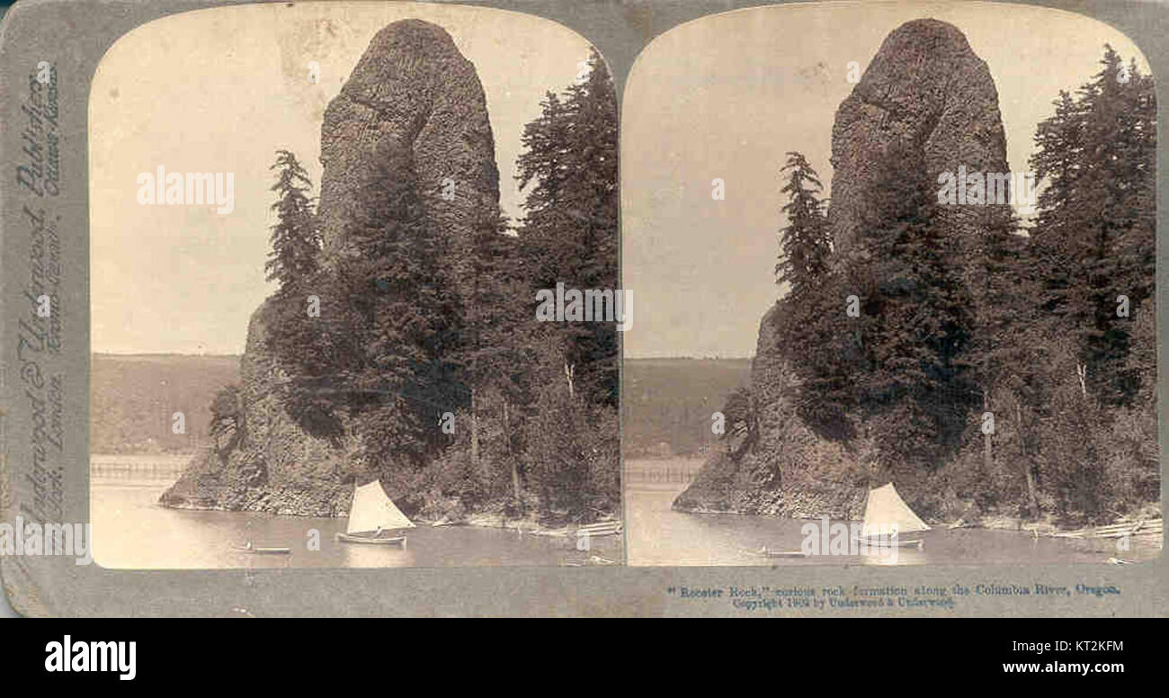 Rooster Rock est une formation géologique unique située le long du fleuve Columbia en Oregon. La formation rocheuse est connue pour sa forme distinctive et sert de repère dans le paysage naturel de la région. Banque D'Images
