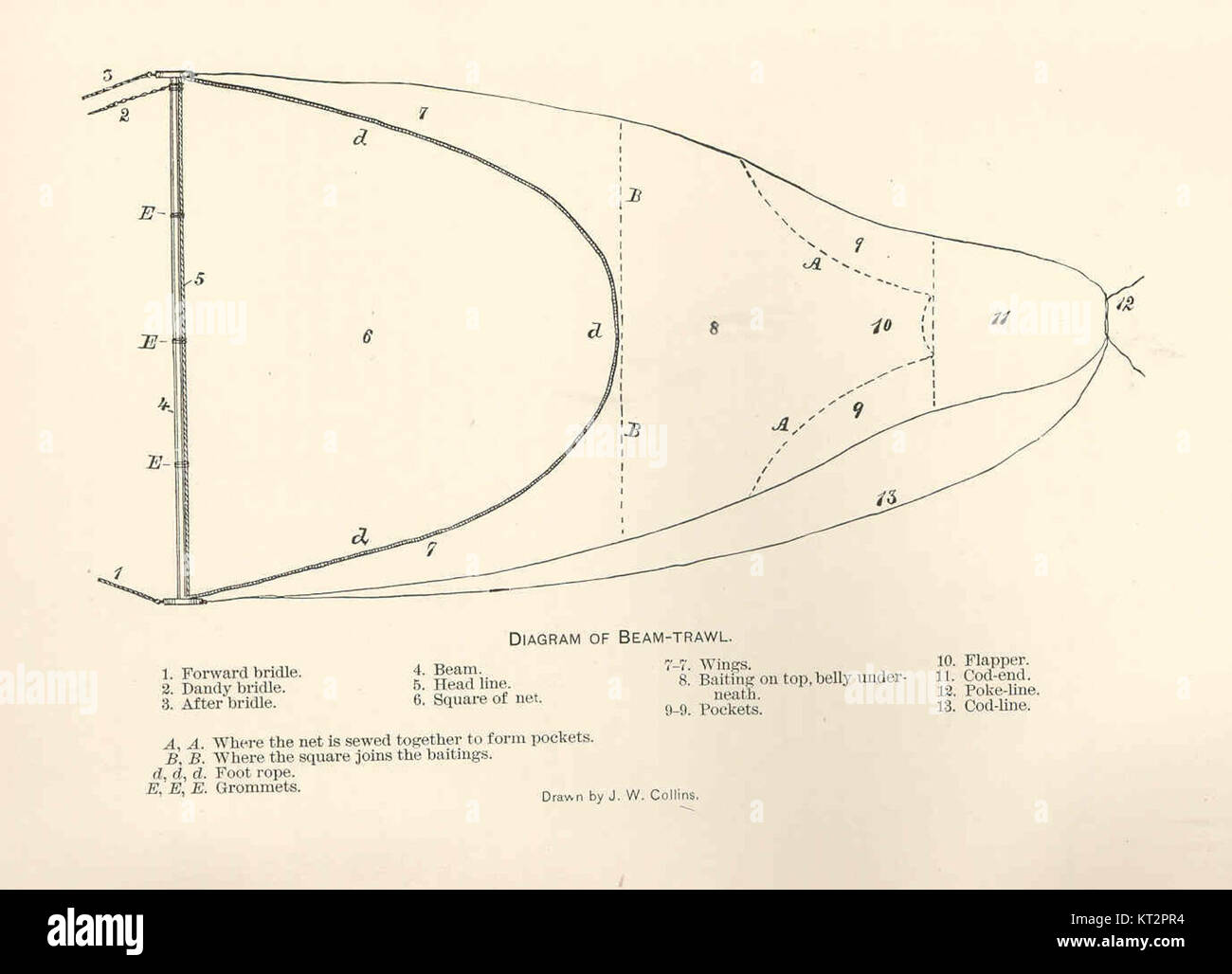 Ce diagramme illustre la conception d'un chalut à perche, un type de filet de pêche utilisé pour le chalutage le long du fond marin. Il met en évidence les éléments clés et la fonction de cette méthode de chalutage utilisée dans la recherche marine et la pêche commerciale. Banque D'Images