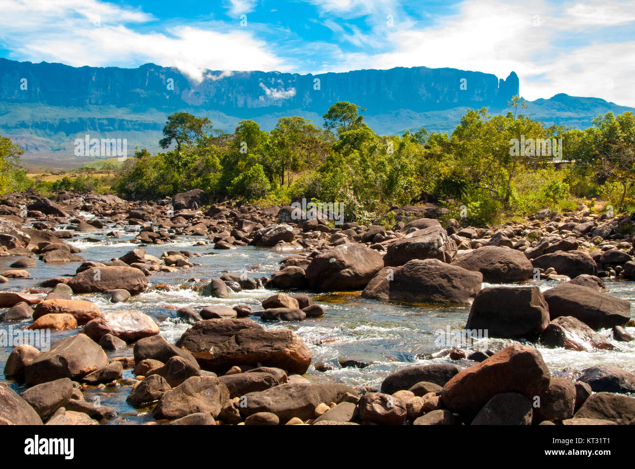 Roraima Tepui, Gran Sabana, Venezuela Banque D'Images