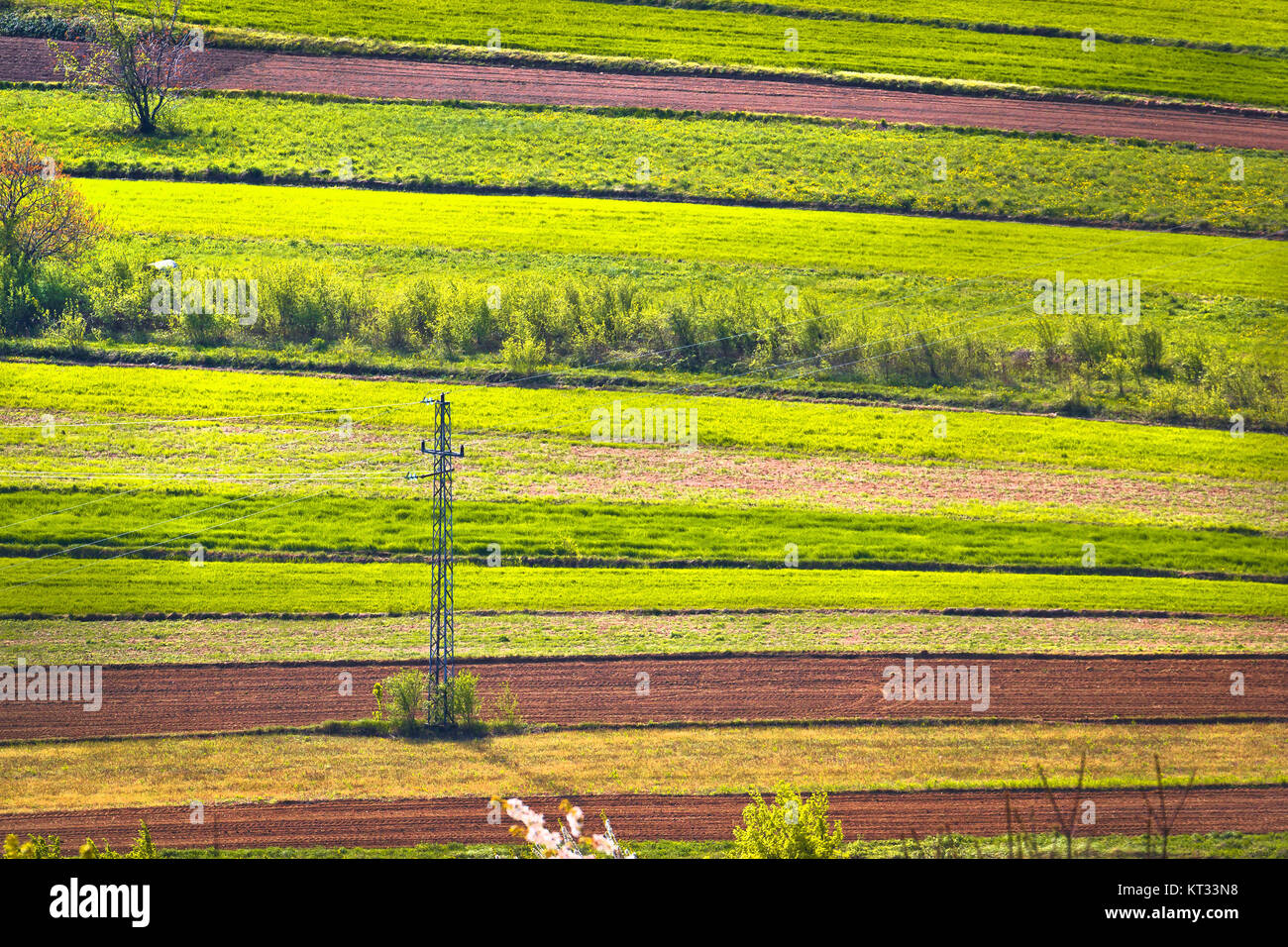 Couches horizontales agricole green view Banque D'Images