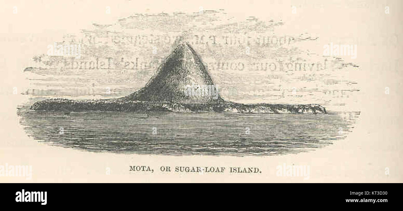 Mota, également connue sous le nom de Sugar-Loaf Island, est située dans une région remarquable pour sa beauté naturelle. Le nom de l'île est dérivé de sa forme distinctive, ressemblant à un pain de sucre traditionnel, et c'est une destination populaire pour les visiteurs intéressés par ses vues panoramiques. Banque D'Images