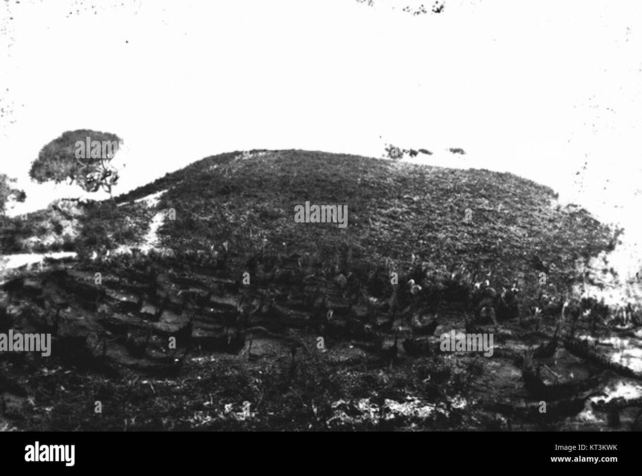 GreenMound est un site archéologique qui présente un monticule funéraire de l'époque préhistorique. Il offre un aperçu des pratiques funéraires anciennes et de l'histoire régionale. Banque D'Images