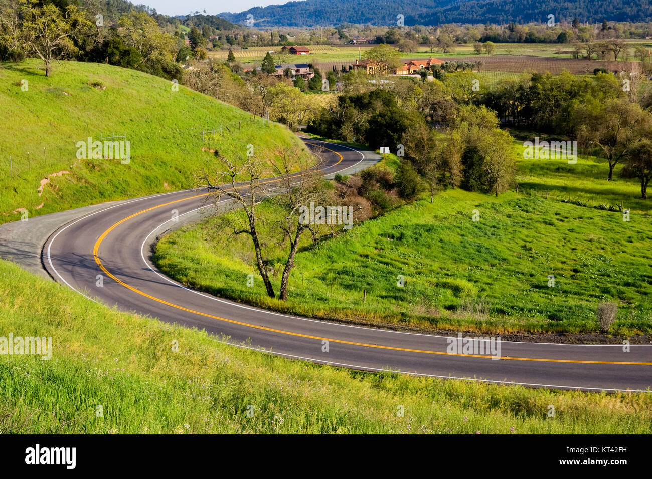 Route sinueuse à Napa Valley Banque D'Images