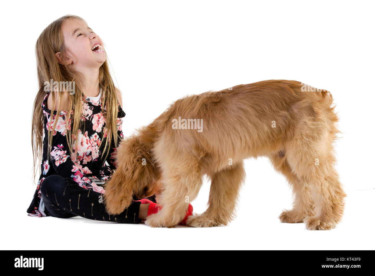 Side view full length portrait of a cute girl de rire d'âge élémentaire tout en jouant avec son chien contre fond blanc pour copy space Banque D'Images