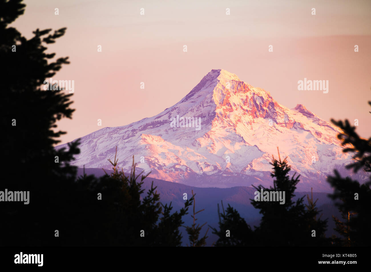 La montagne alpine rougeoyant dans la lumière du soir vu la forme des arbres Banque D'Images