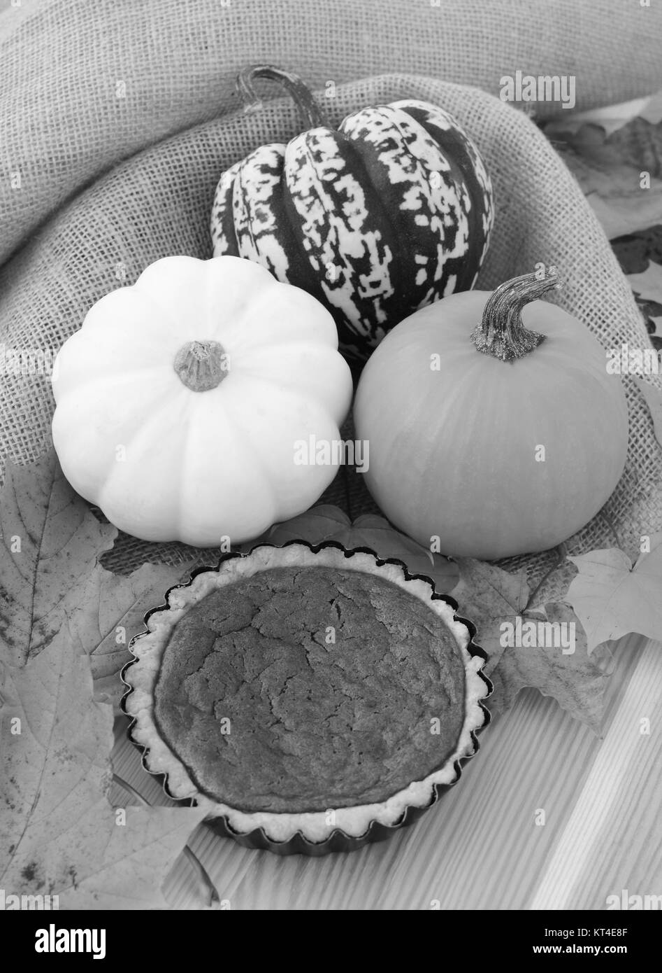 Tarte à la citrouille avec de petites feuilles et les gourdes Banque D'Images