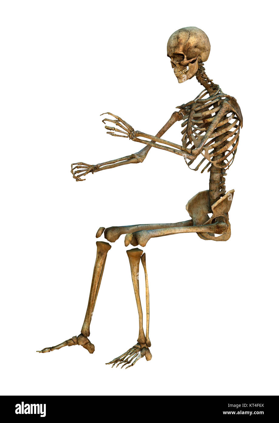 Le Rendu 3D Human Skeleton on White Banque D'Images