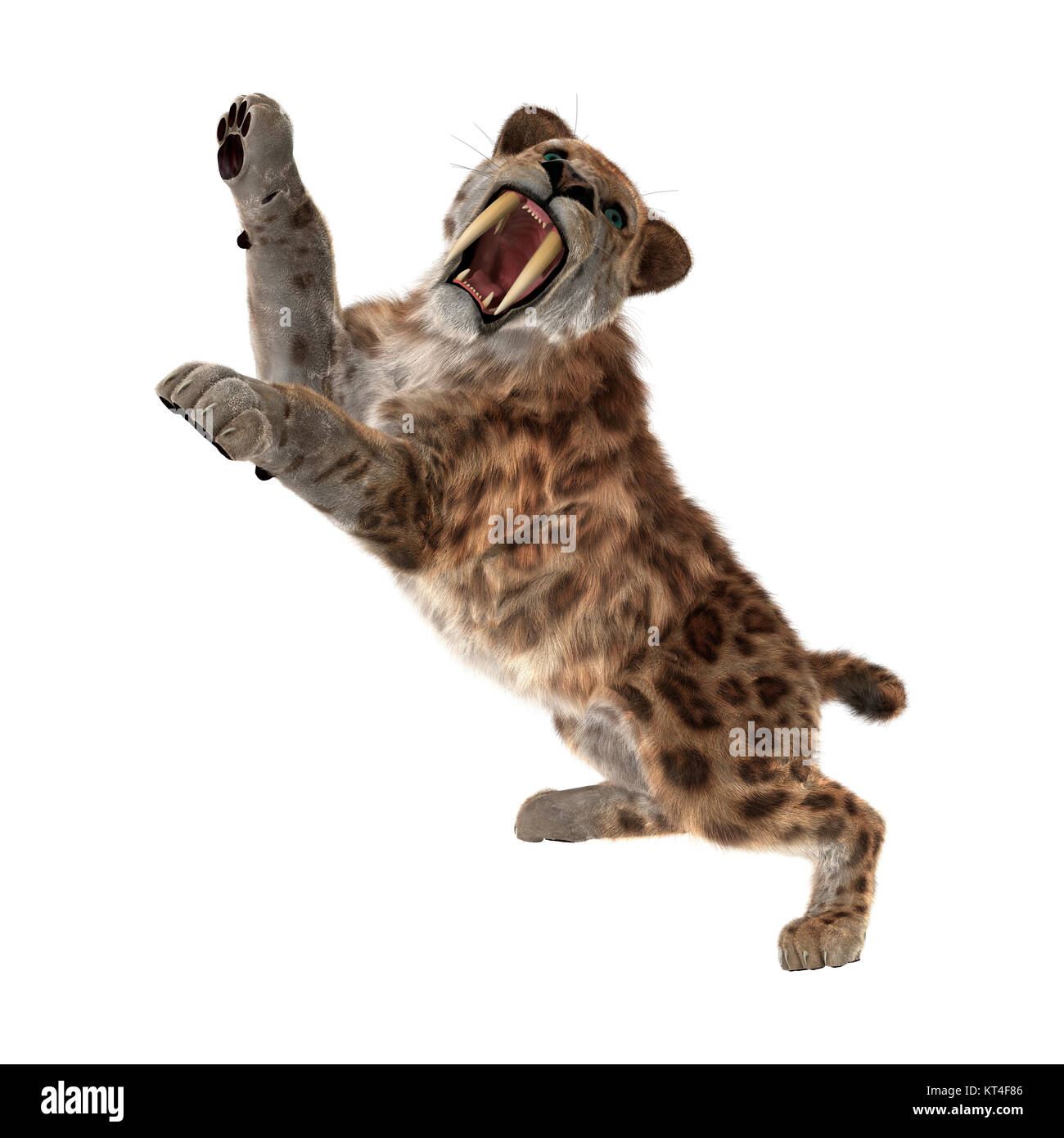 Tuger Sabertooth Rendu 3D on White Banque D'Images