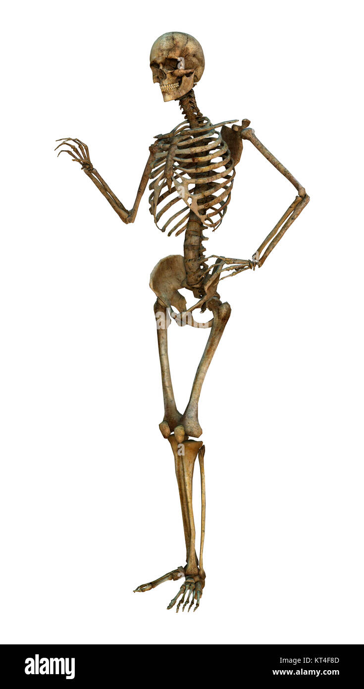 Le Rendu 3D Human Skeleton on White Banque D'Images