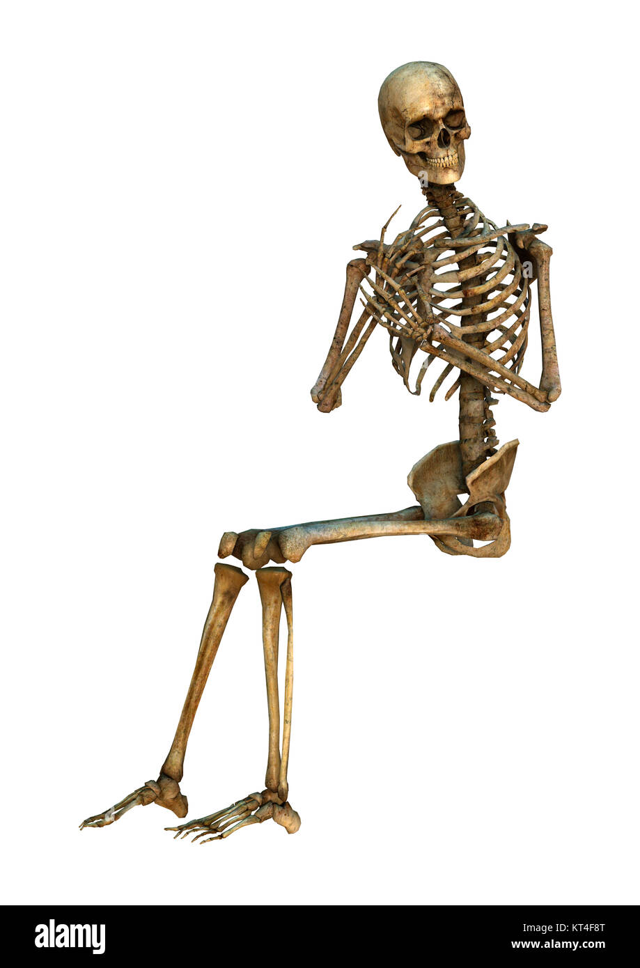 Le Rendu 3D Human Skeleton on White Banque D'Images