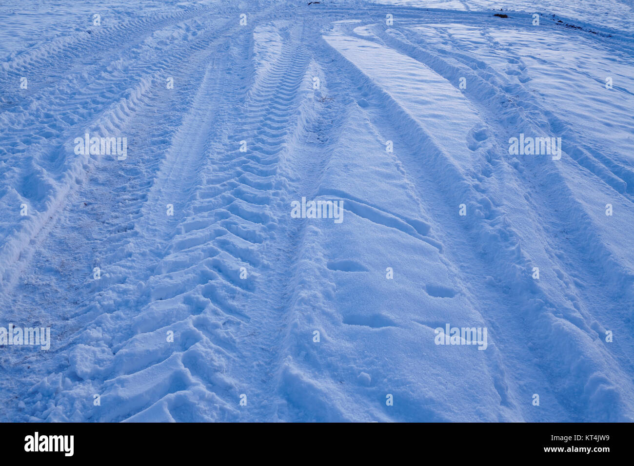 Certaines marques de dérapage conduirait dans un snowscape au point de l'heure bleue en soirée. La neige reflète la lumière du ciel bleu. Banque D'Images