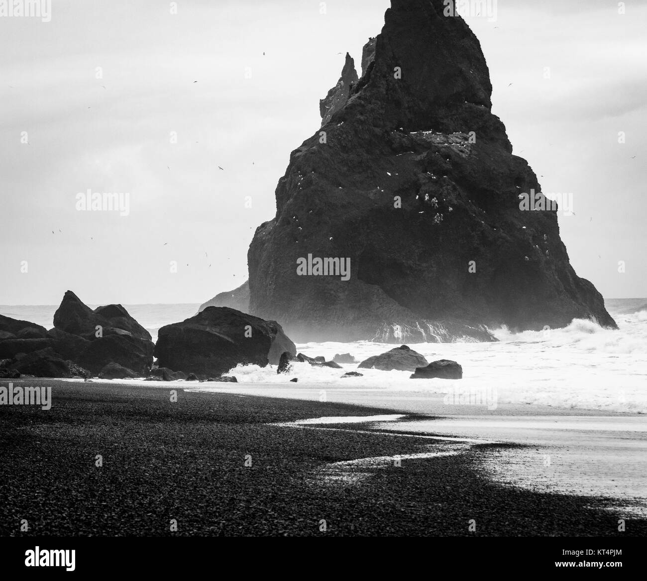 Basaltiques de imposants peuplements pile contre les vagues de l'Atlantique Nord à l'Islande au plus célèbre plage de sable noir de Reynisfjara qui jouit, Banque D'Images