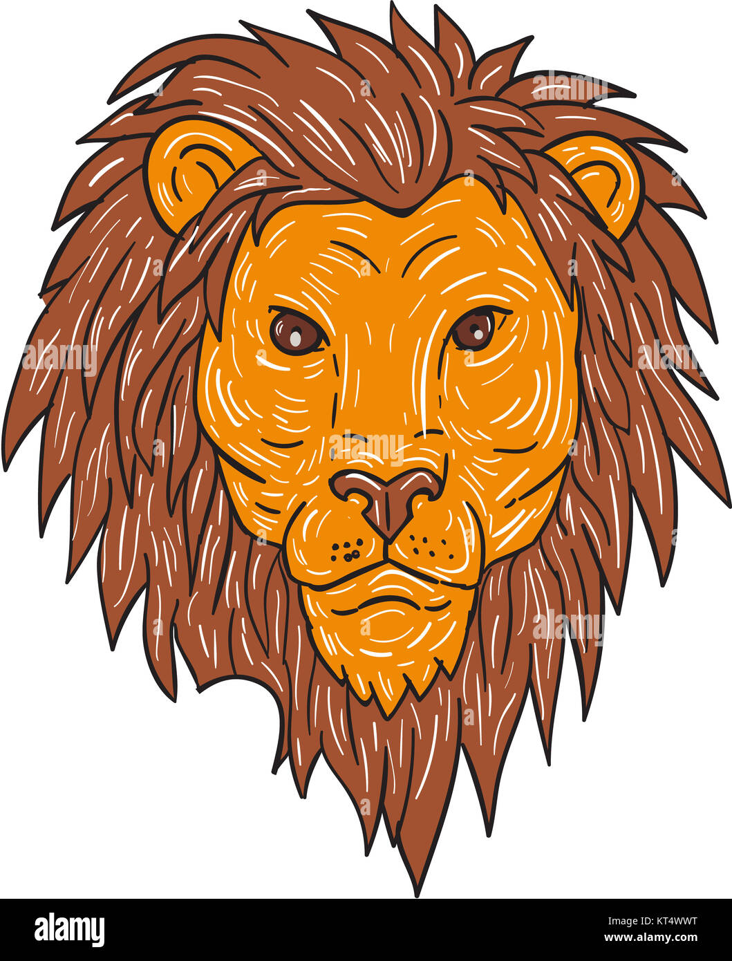 Lion Big Cat Head Dimensions Banque D'Images