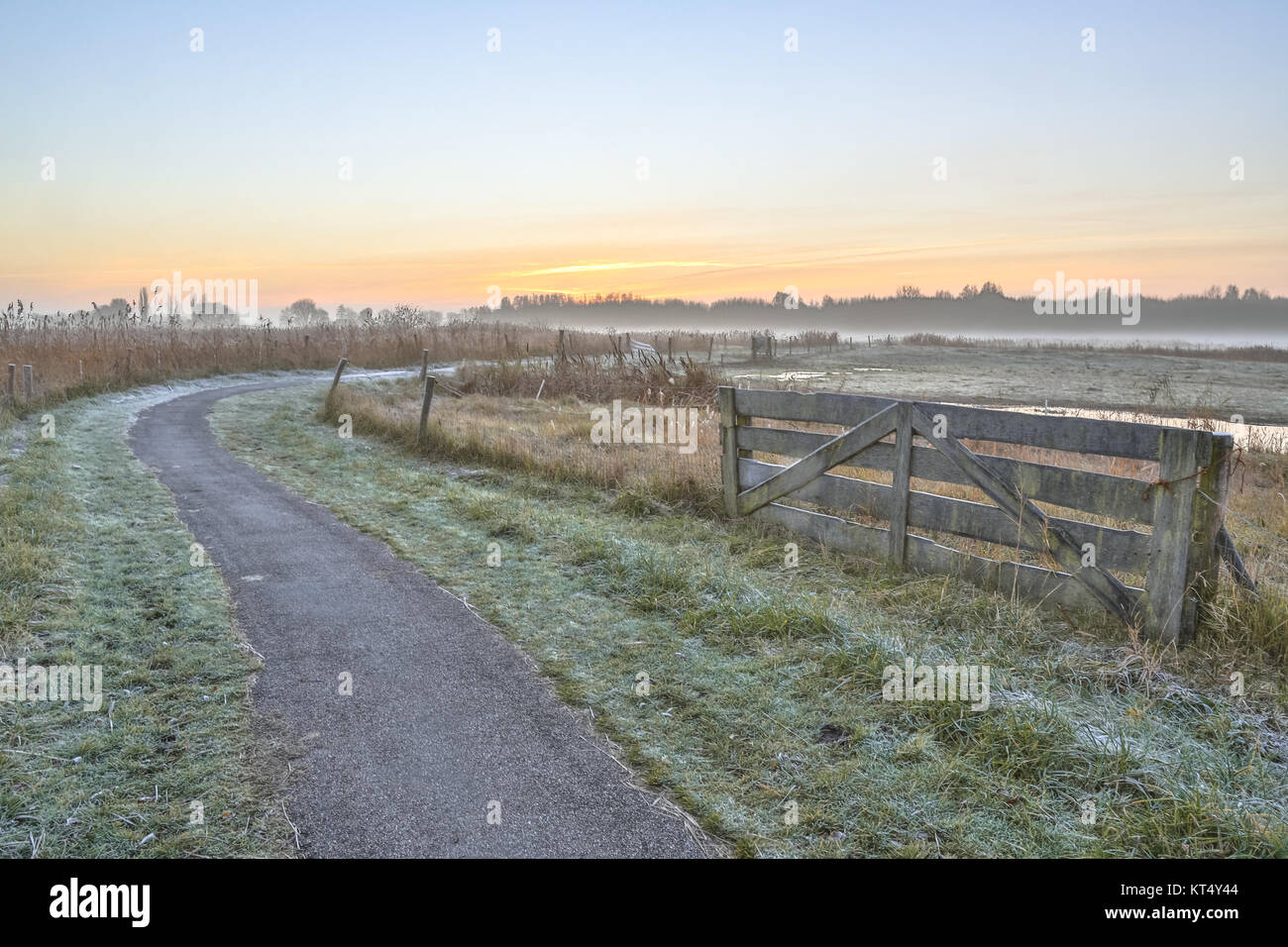 Polder agricole Misty paysage près de Groningen, Pays-Bas Banque D'Images