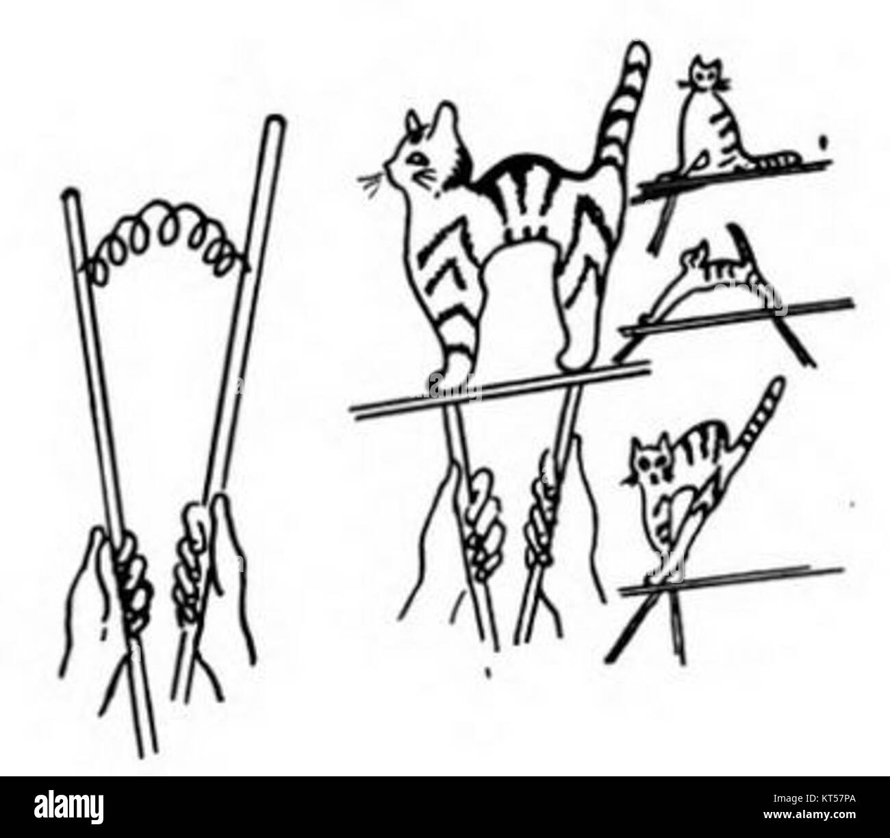 Nina Efimova, une designer, a créé un design de construction unique avec un chat. Ce design met en valeur son approche créative pour combiner l’art et les concepts architecturaux, apportant une touche imaginative et ludique au design. Banque D'Images