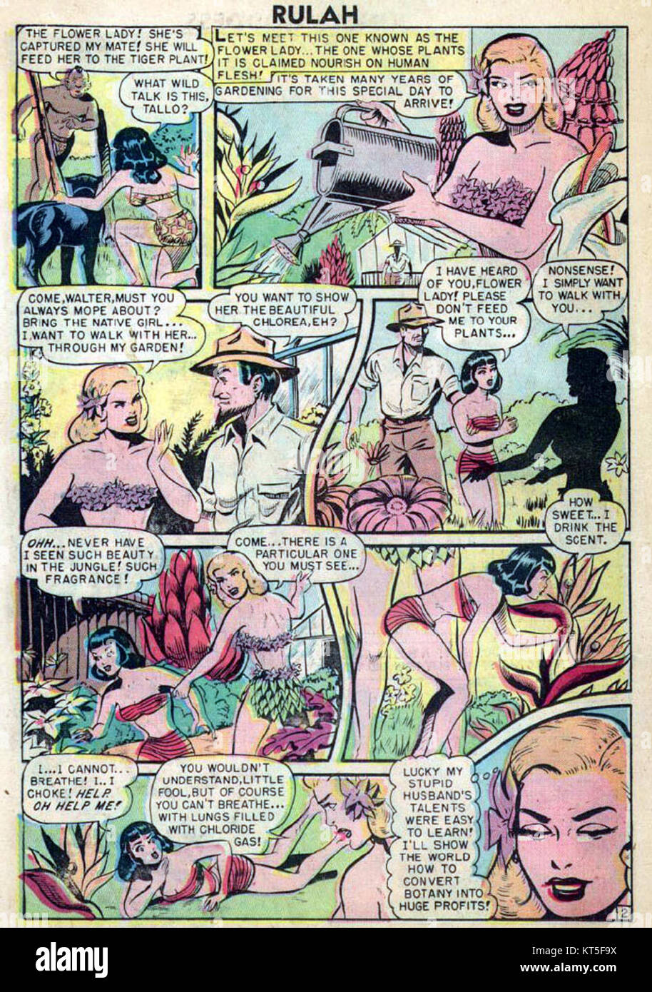 Rulah, la déesse de la Jungle, est un personnage de fiction apparaissant dans les bandes dessinées américaines dans les années 1940 C'était une héroïne aventureuse et intrépide combattant l'injustice dans la jungle. Banque D'Images