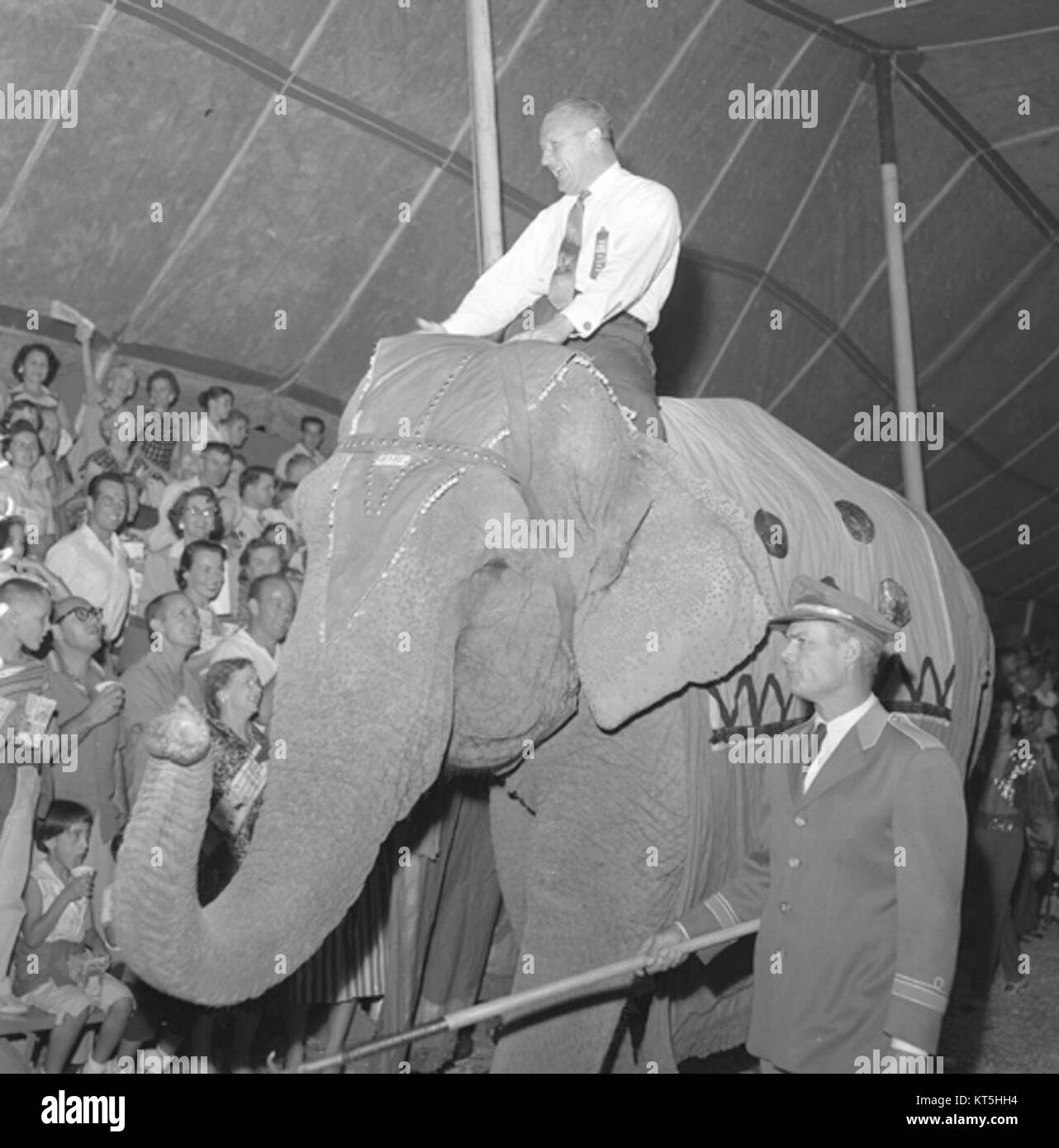 Cette image capture probablement un moment historique ou symbolique mettant en scène un sénateur ou une figure politique interagissant avec un éléphant, peut-être dans un cadre cérémoniel ou politique. Banque D'Images