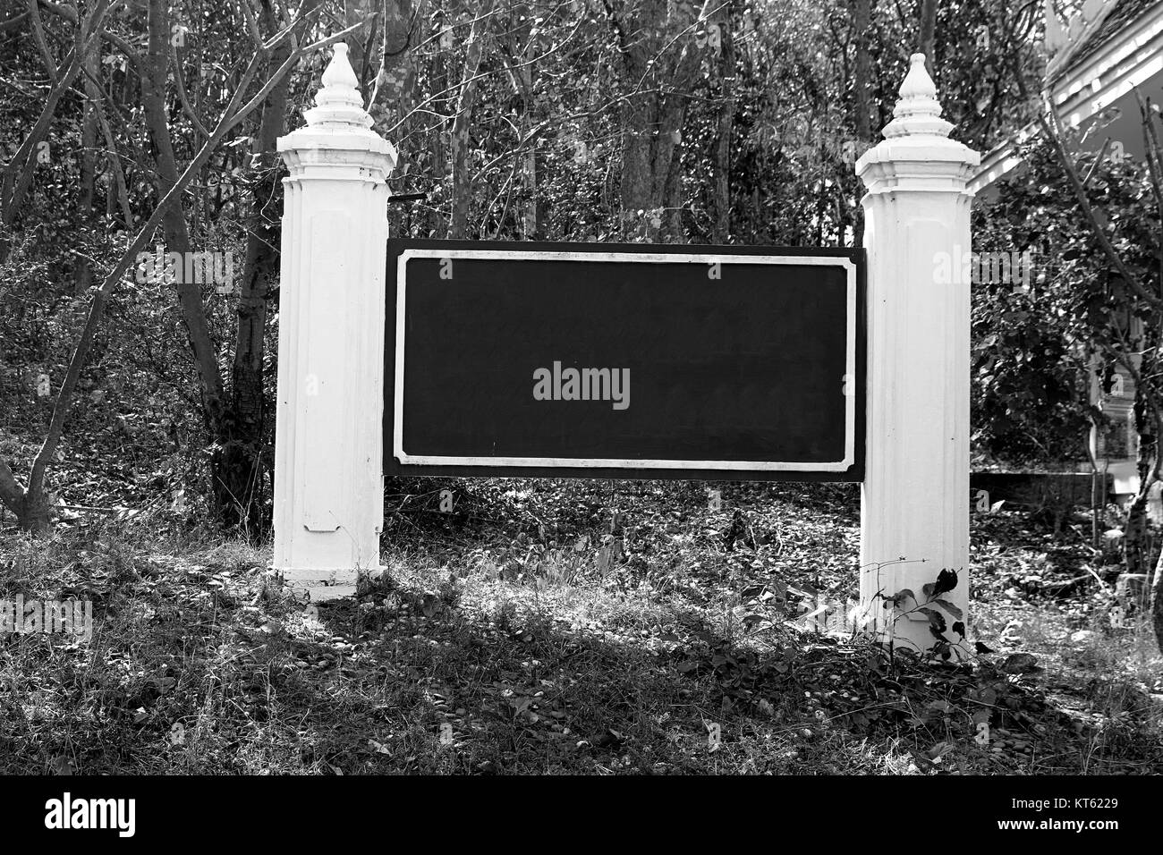 Paysage nature blank billboard espace vide couleur blanc noir Banque D'Images