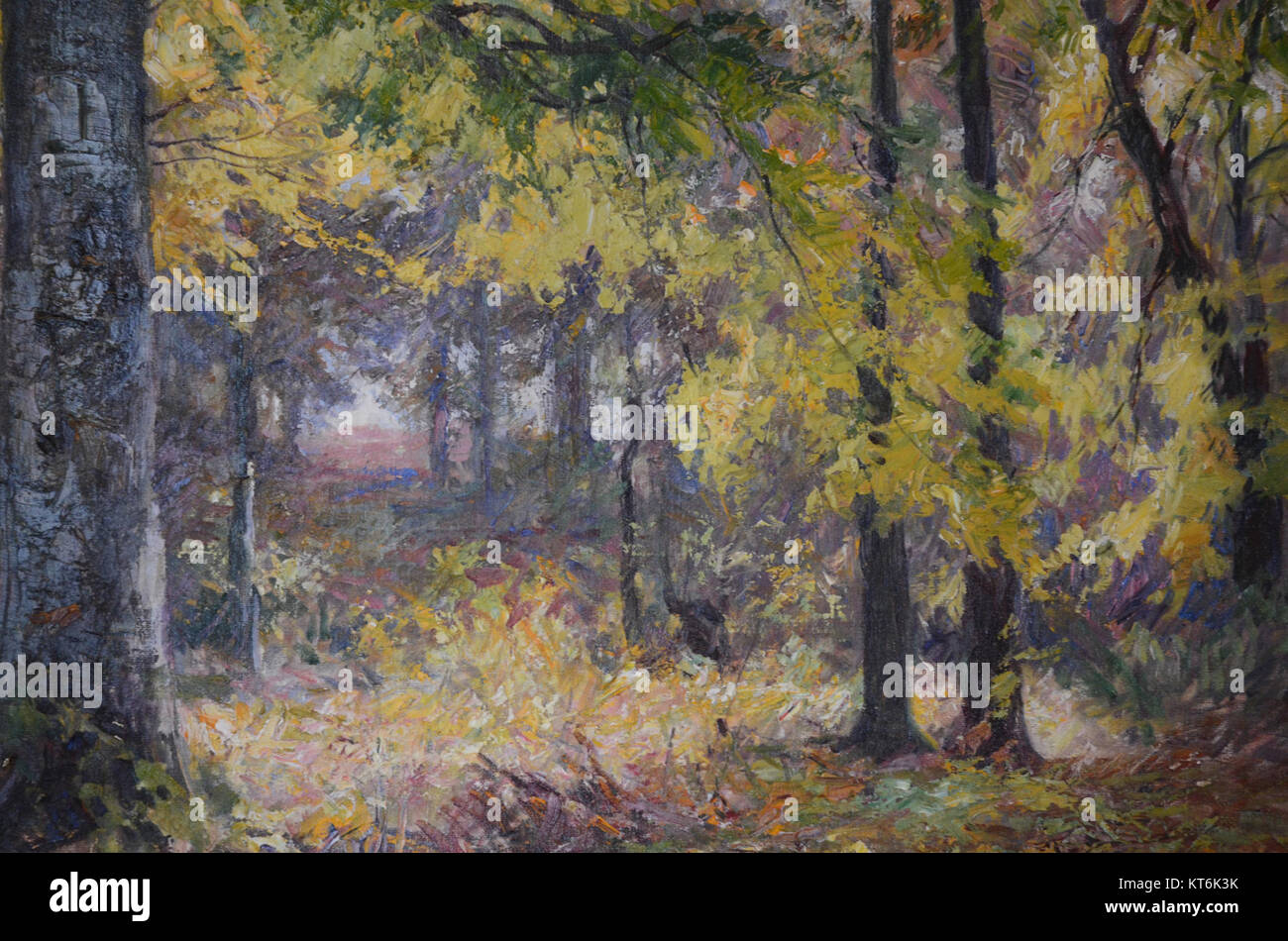 « Automne dans le comté de Brown » de Will Vawte capture les couleurs saisonnières vibrantes de l'automne dans le comté de Brown, Indiana. L'œuvre représente les riches teintes du feuillage d'automne et la beauté sereine des paysages ruraux. Banque D'Images