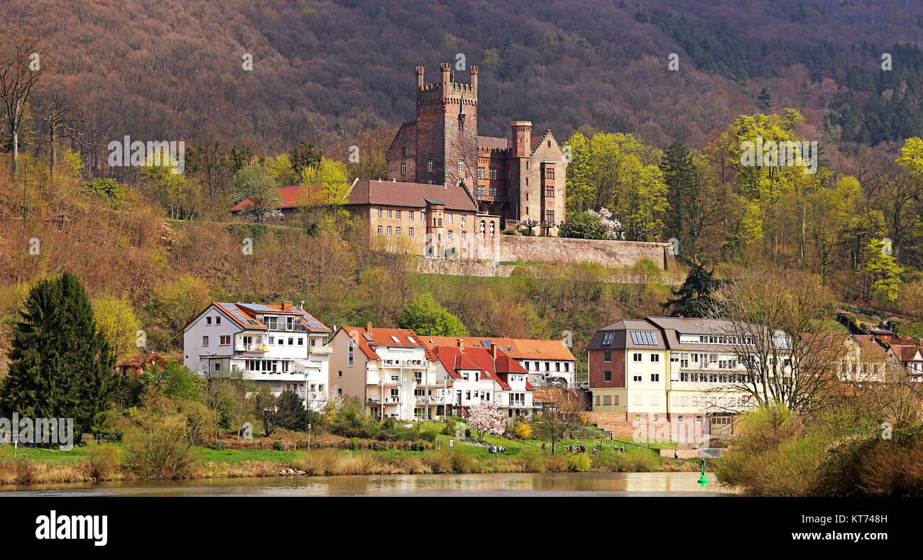 neckarsteinach sur le neckar avec le château central Banque D'Images