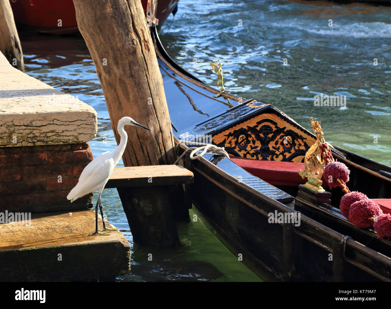 Gondole de Venise et d'une aigrette garzette (Egretta garzetta) de la faune urbaine ville Banque D'Images