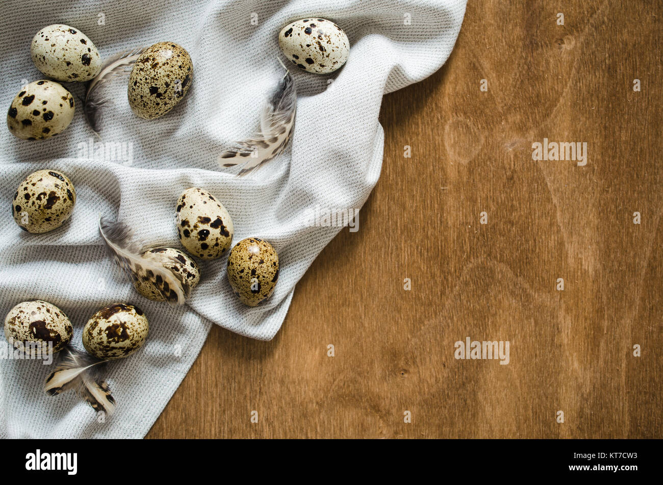 Oeufs de caille frais biologiques sur table en bois. Banque D'Images