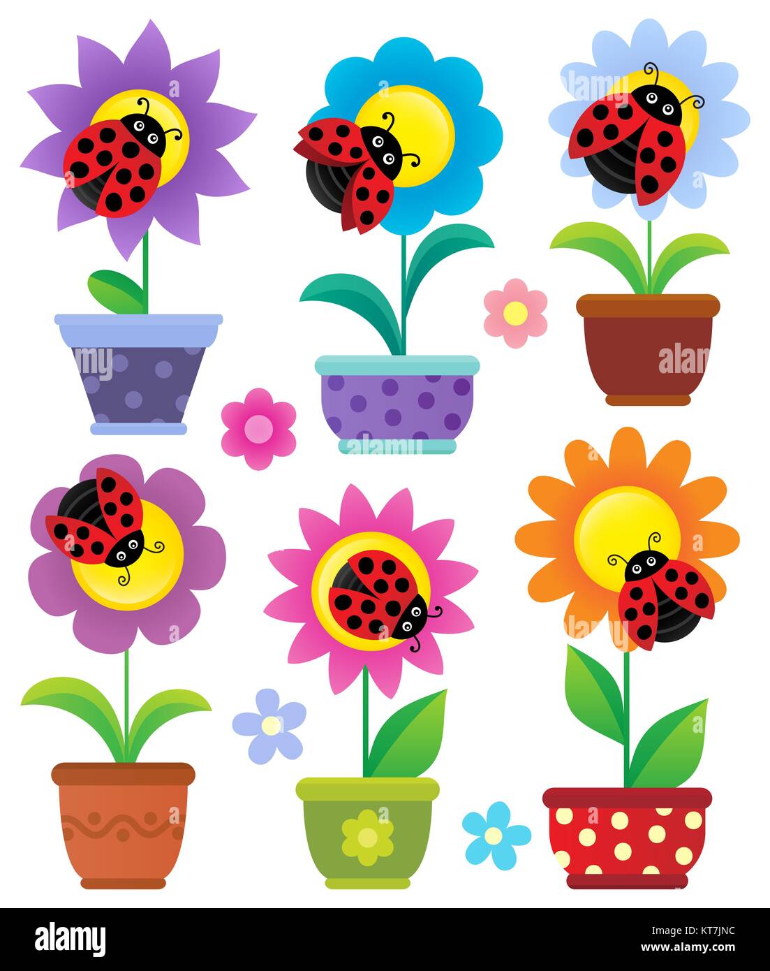 Pots de fleurs et coccinelles Banque D'Images