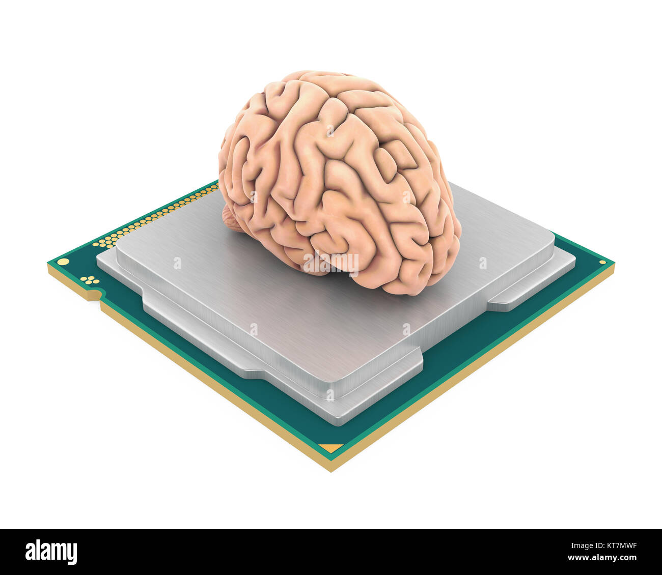 Processeur CPU avec isolé du cerveau humain Banque D'Images