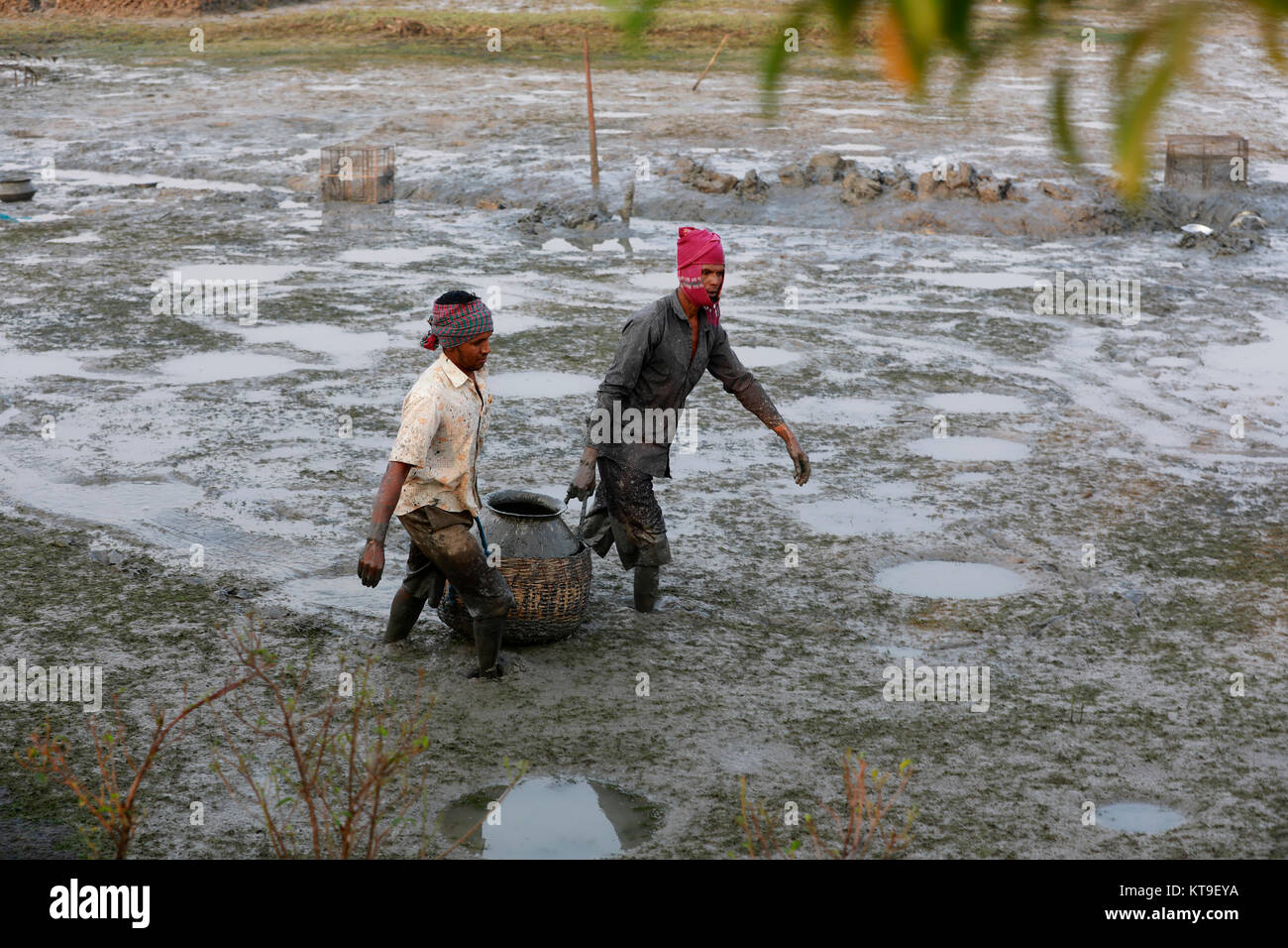 KHULNA, BANGLADESH - le 15 décembre 2017 : Les gens de la pêche dans l'assèchement des rivières, canaux et plans d'eau durant la saison d'hiver est une caractéristique commune i Banque D'Images