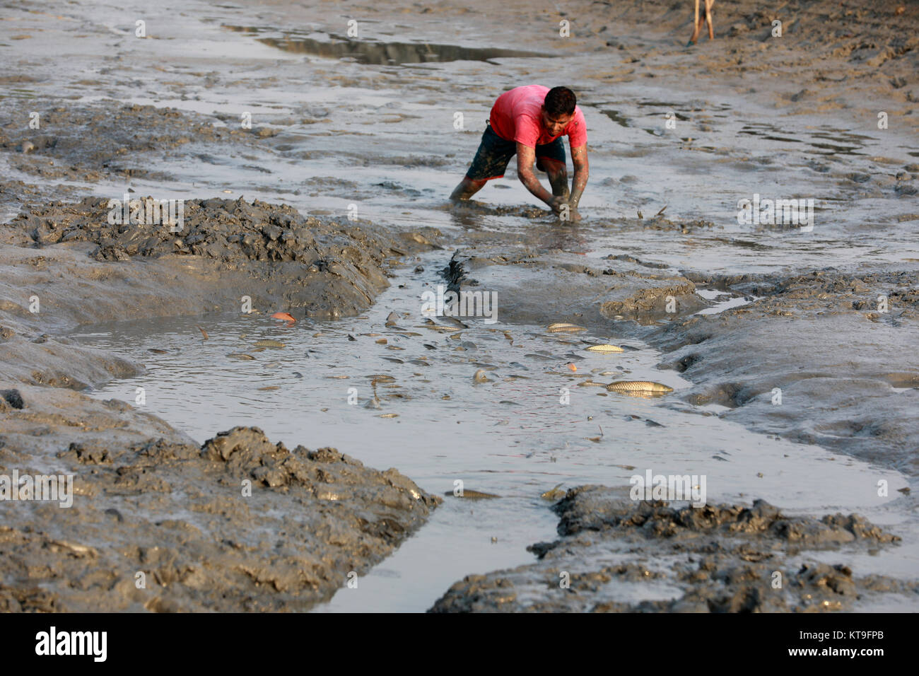 KHULNA, BANGLADESH - le 15 décembre 2017 : Les gens de la pêche dans l'assèchement des rivières, canaux et plans d'eau durant la saison d'hiver est une caractéristique commune i Banque D'Images