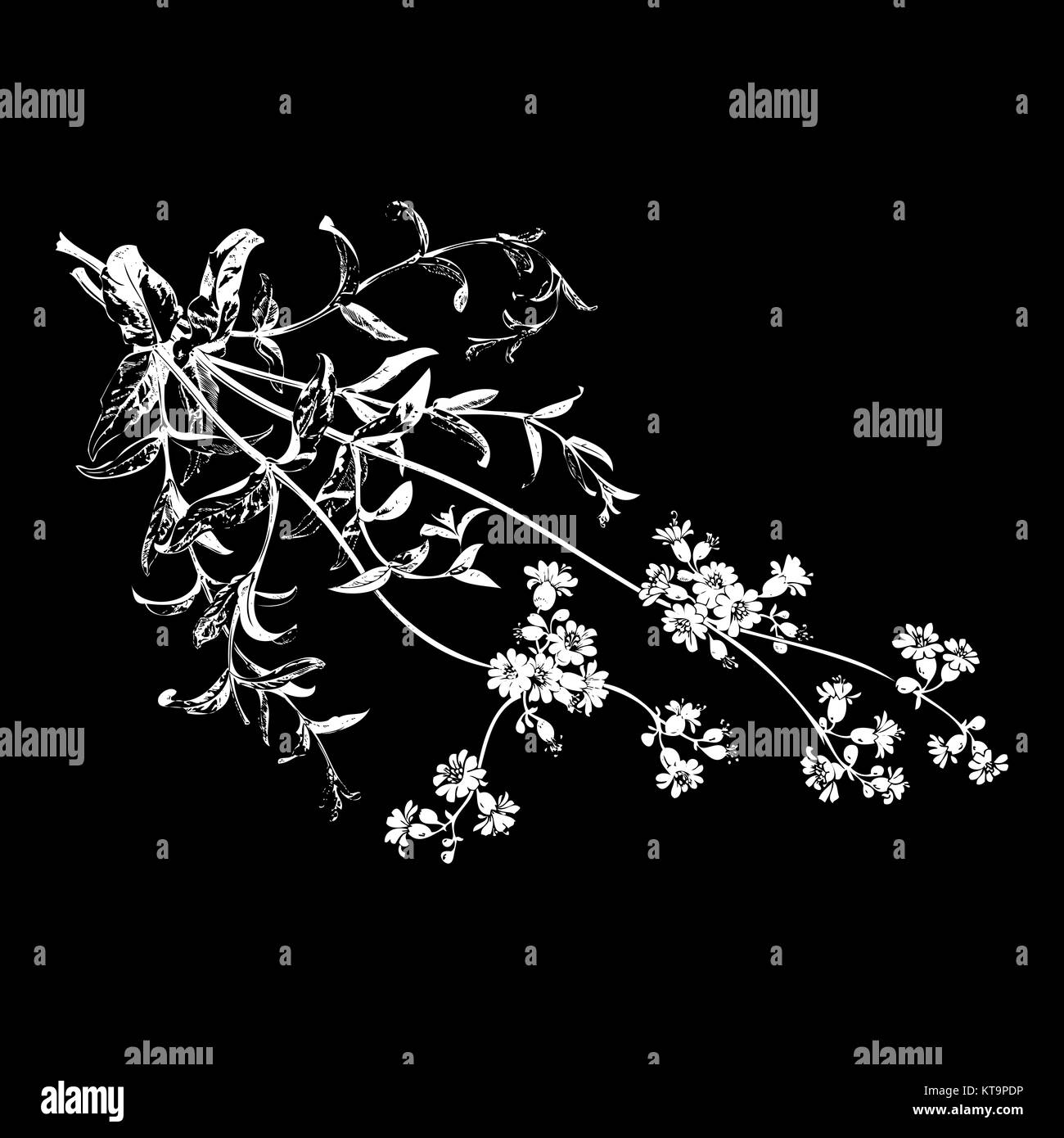 Papier peint vintage motif floral rose transparente sur des cercles polka Banque D'Images