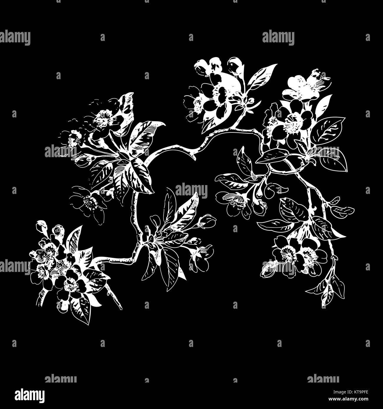 Papier peint vintage motif floral rose transparente sur des cercles polka Banque D'Images Papier peint vintage motif floral rose transparente sur des cercles polka Banque D'Images