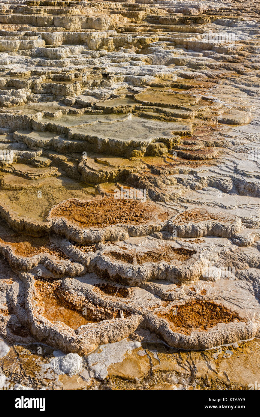 Formations colorées de Jupiter exposée au Mammoth Hot Springs Parc National de Yellowstone au Wyoming USA Banque D'Images