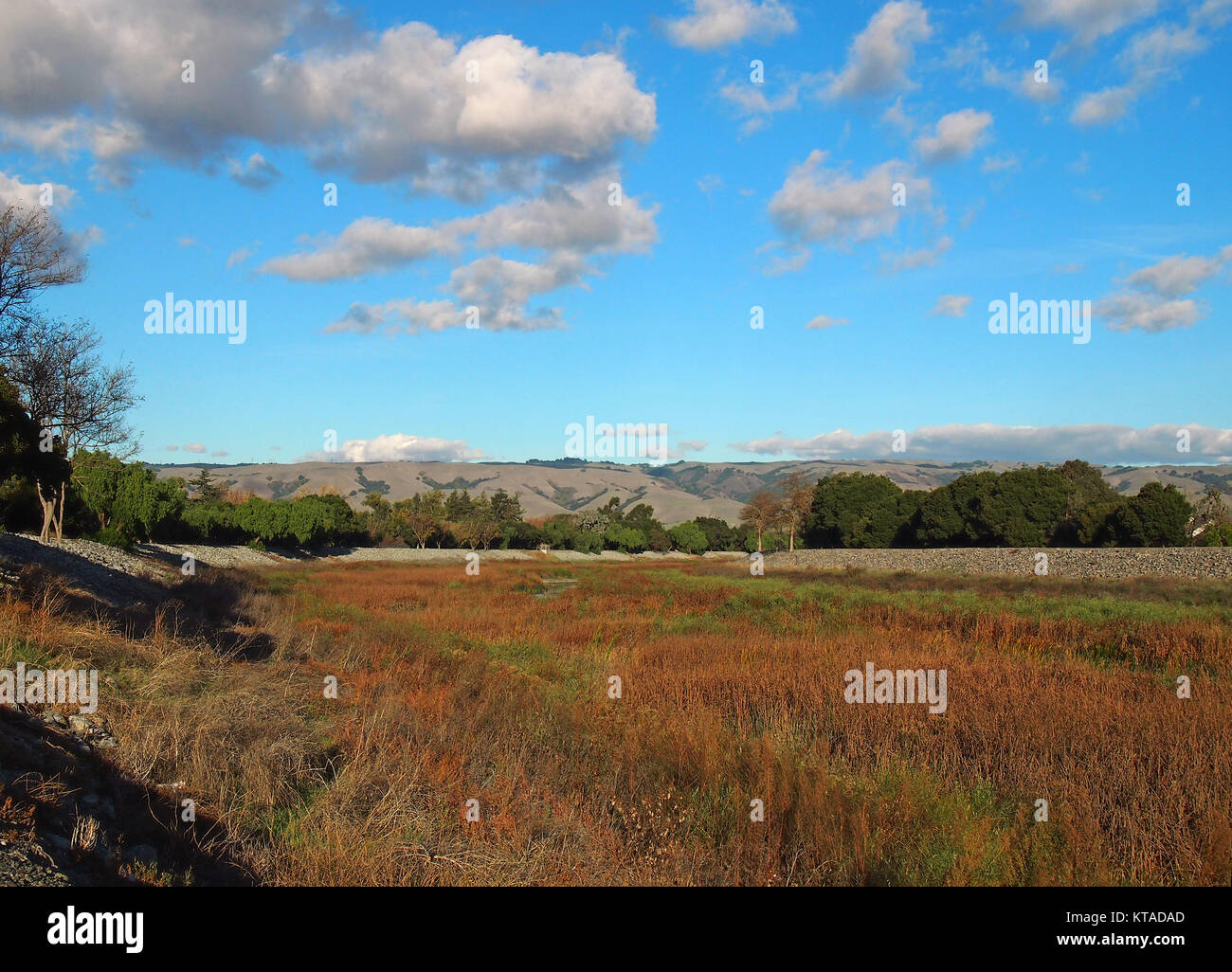 Le ruisseau d'Alameda, Californie sentier régional Banque D'Images