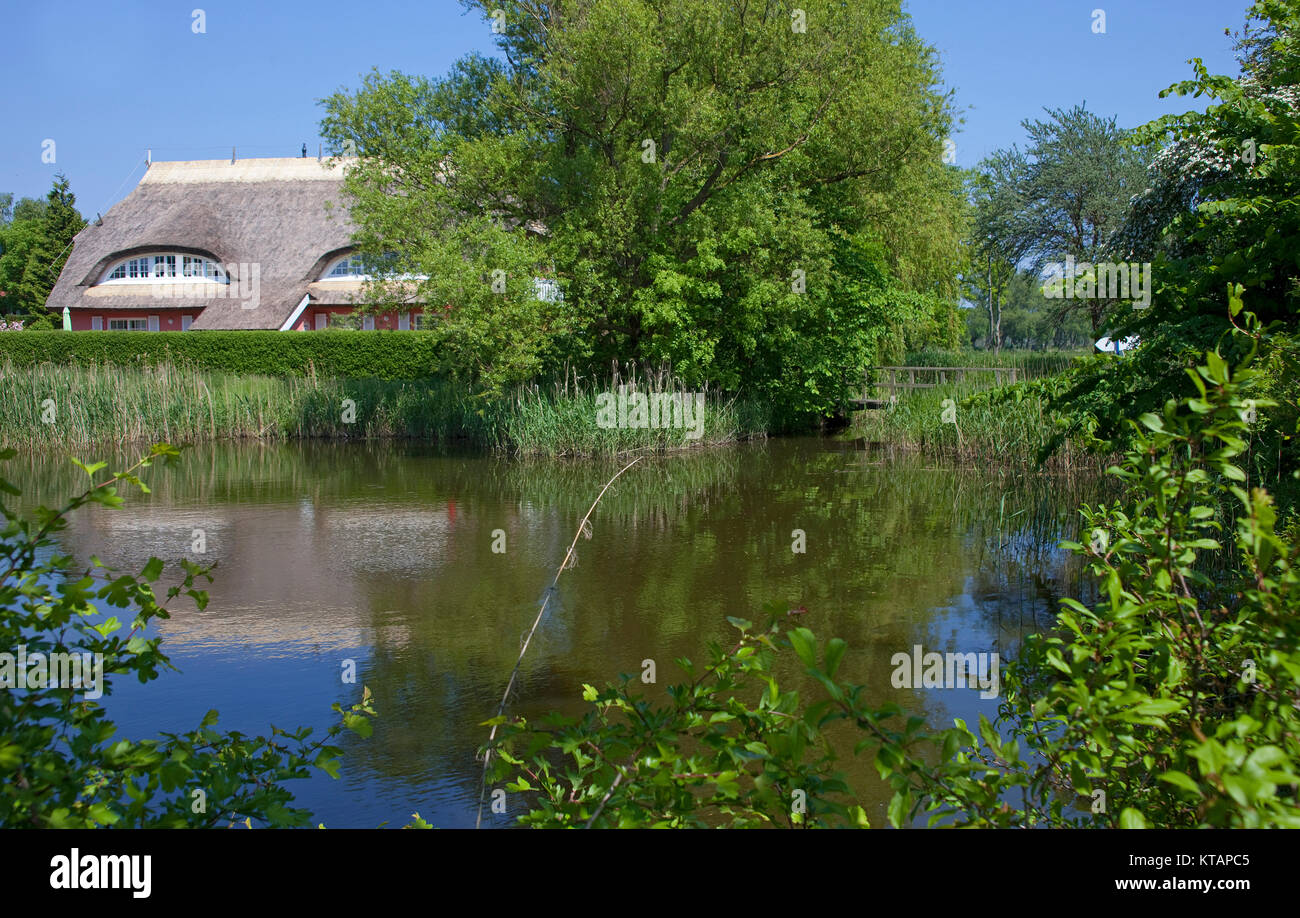 Maison au toit de chaume, au bord d'un lac, Stove, Moenchgut Ruegen island, de Mecklembourg-Poméranie occidentale, de la mer Baltique, l'Allemagne, de l'Europe Banque D'Images