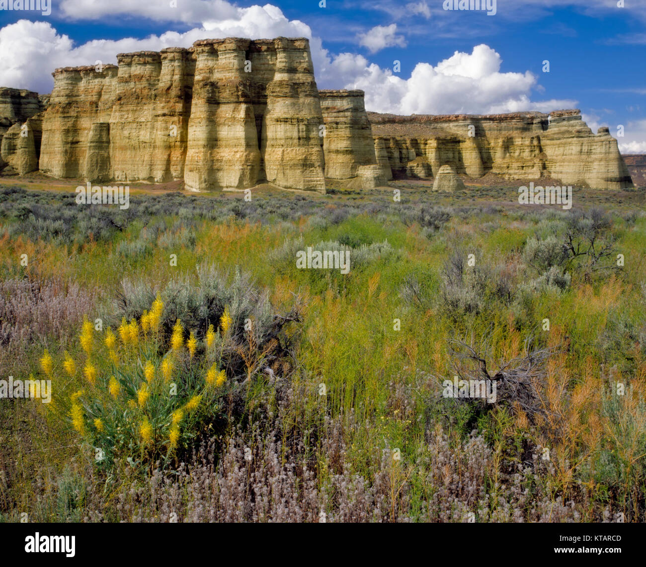 Les cumulus passent sur les piliers de Rome et la prolifération printanière de panache du Prince en se Oregon's remote Malheur Comté. Banque D'Images