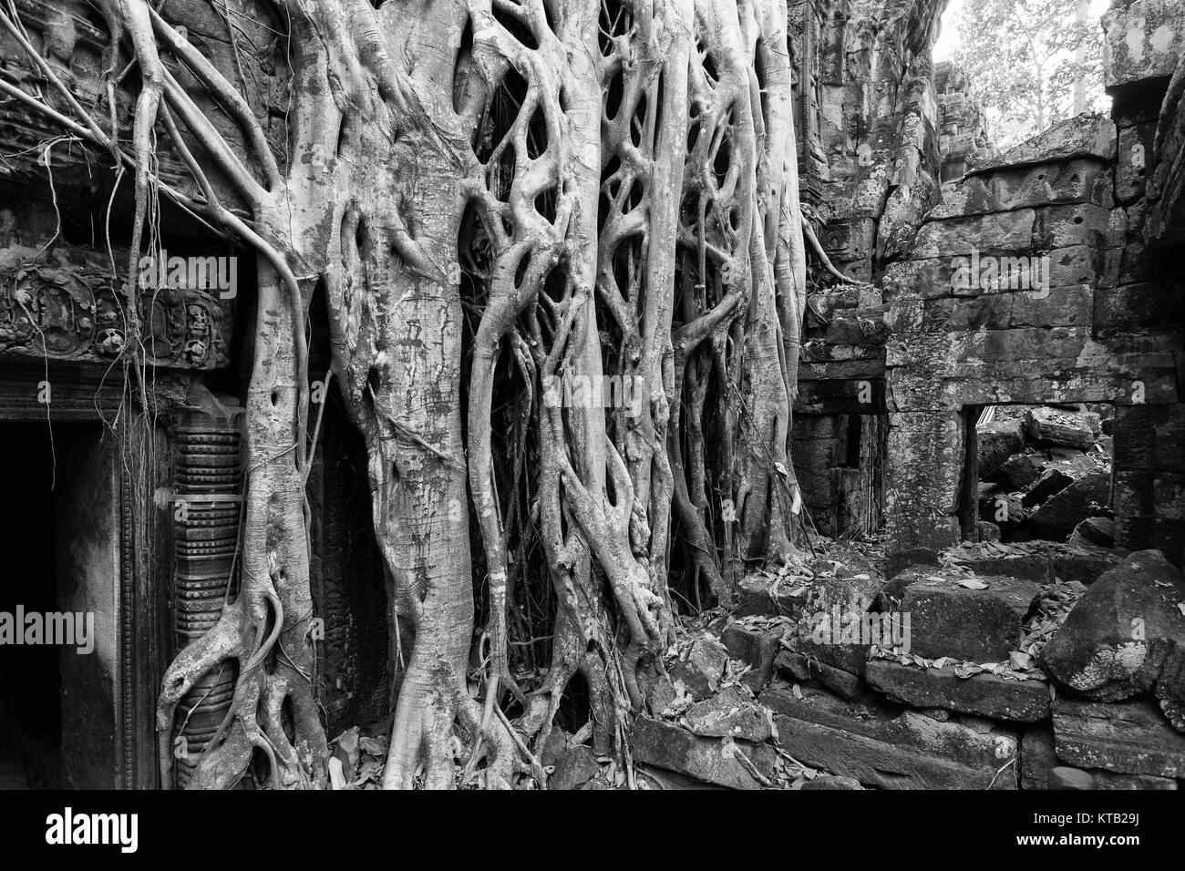 Angkor wat Banque D'Images