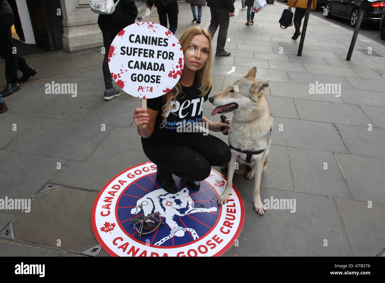 Londres, Royaume-Uni. 8 Décembre, 2017. Anneka Svenska et son compagnon canin protester à l'extérieur du Canada Goose flagship store de Regent Street pour PETA's Campai Banque D'Images