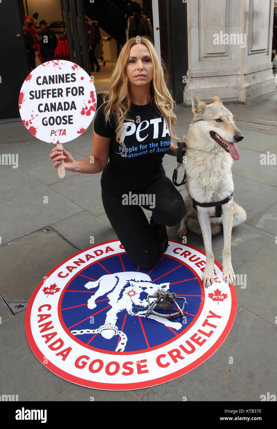 Londres, Royaume-Uni. 8 Décembre, 2017. Anneka Svenska et son compagnon canin protester à l'extérieur du Canada Goose flagship store de Regent Street pour PETA's Campai Banque D'Images