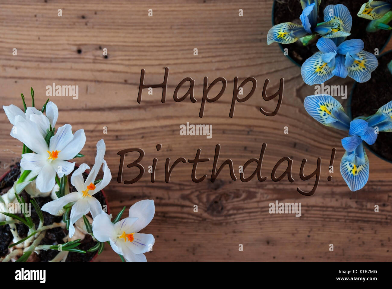 Fond De Bois Avec Texte Anglais Joyeux Anniversaire Comme Les Fleurs Du Printemps Muscaris Et Crocus De Style Vintage Ou Photo Stock Alamy