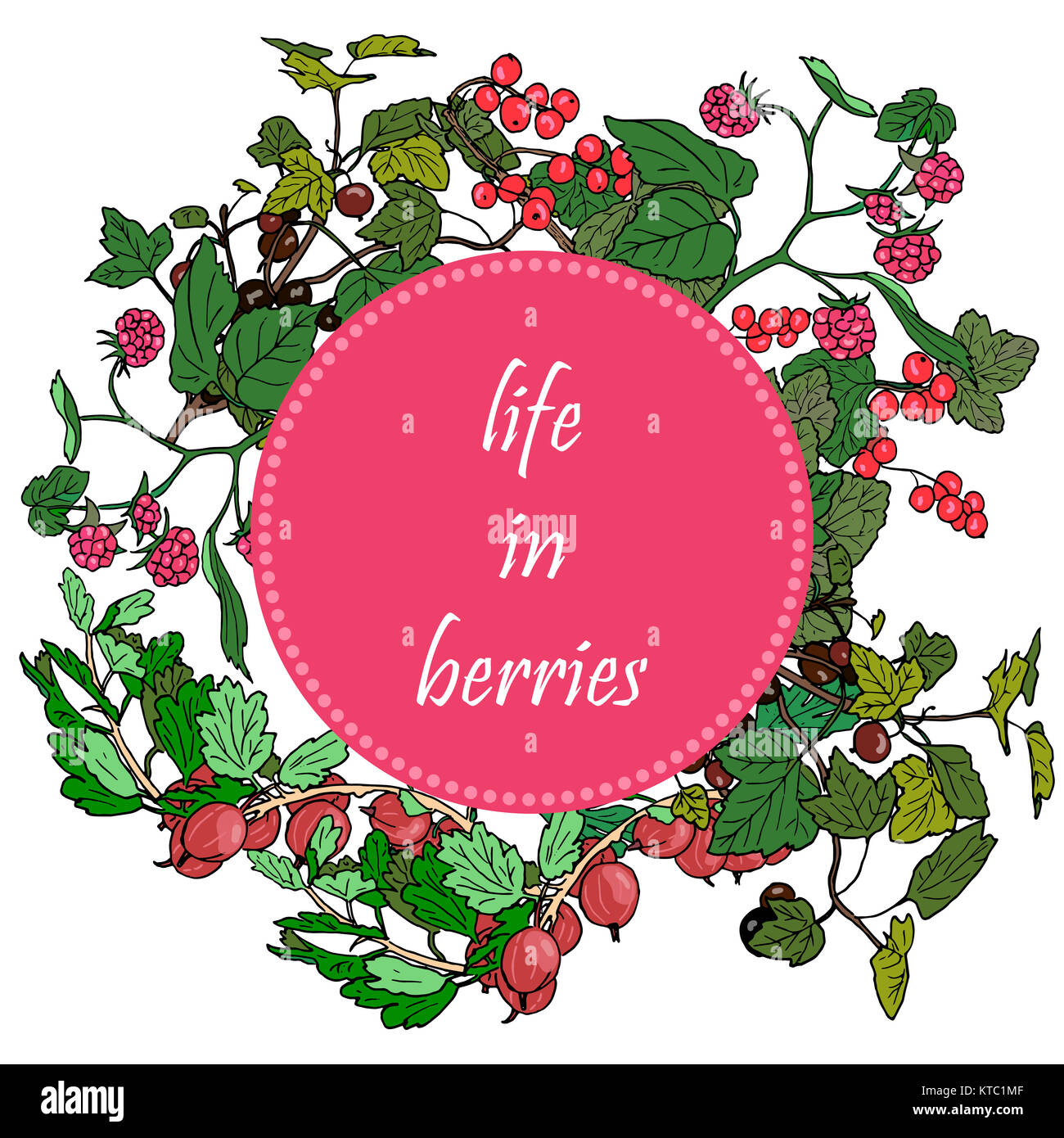 Ensemble de jardin baies et rameaux verts en cercle d'un insigne, de mûre, de framboise, de groseille rouge, de groseille. Banque D'Images