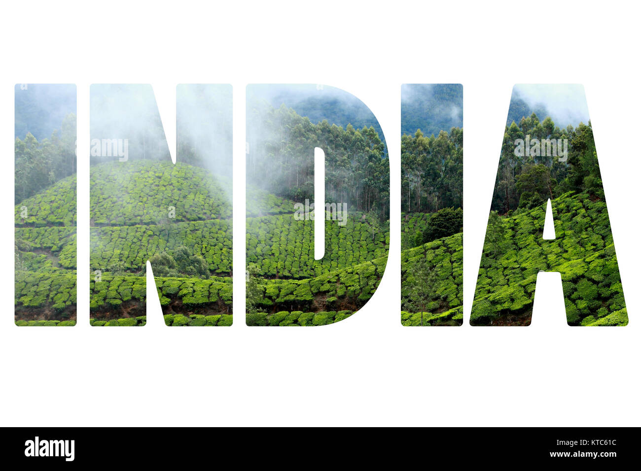 Paysage de plantations de thé vert. Munnar, Kerala, Inde Banque D'Images