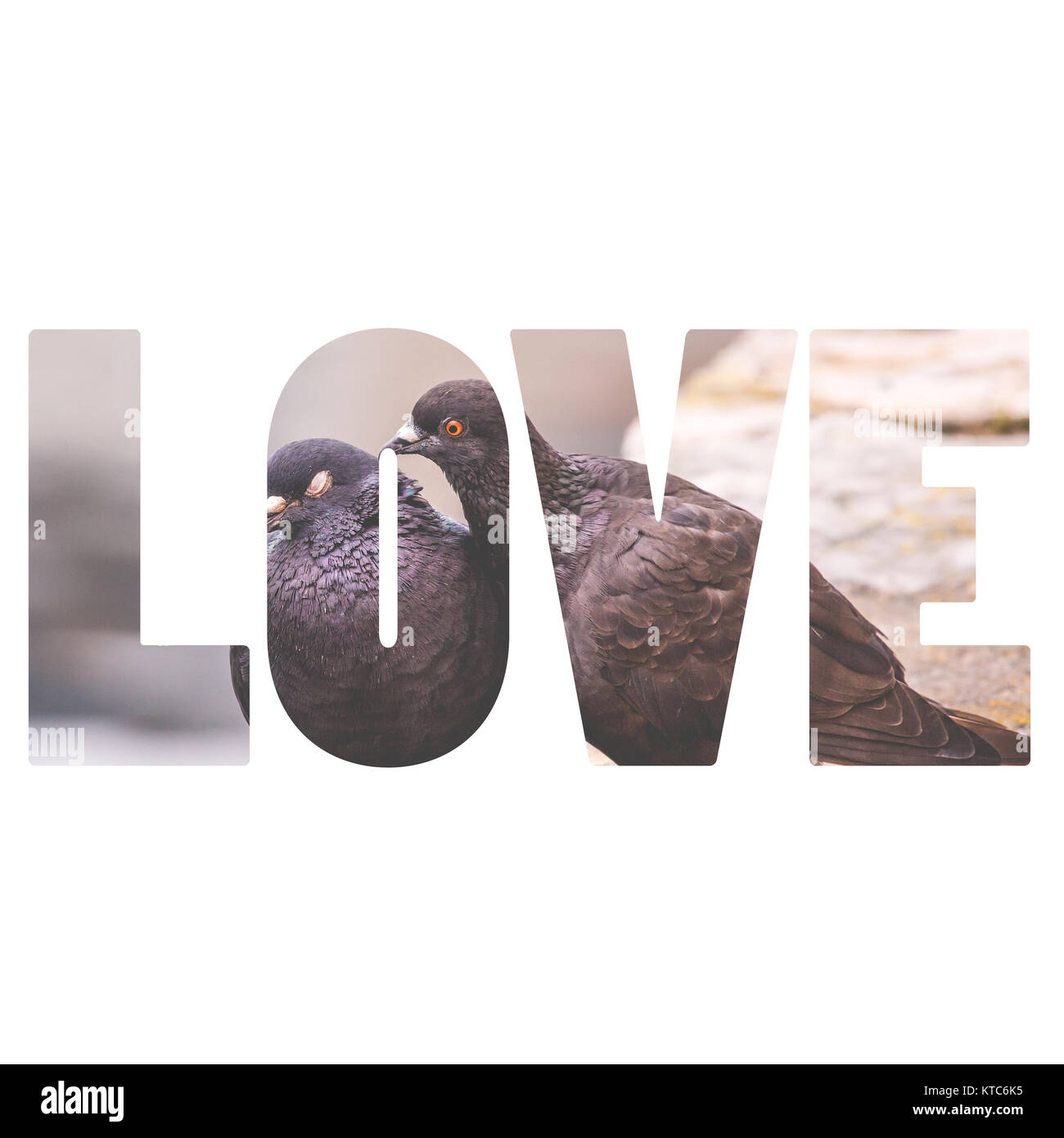 Mot amour deux pigeons sur un poteau de bois montrer mon affection l'un envers l'autre Banque D'Images Mot amour deux pigeons sur un poteau de bois montrer mon affection l'un envers l'autre Banque D'Images