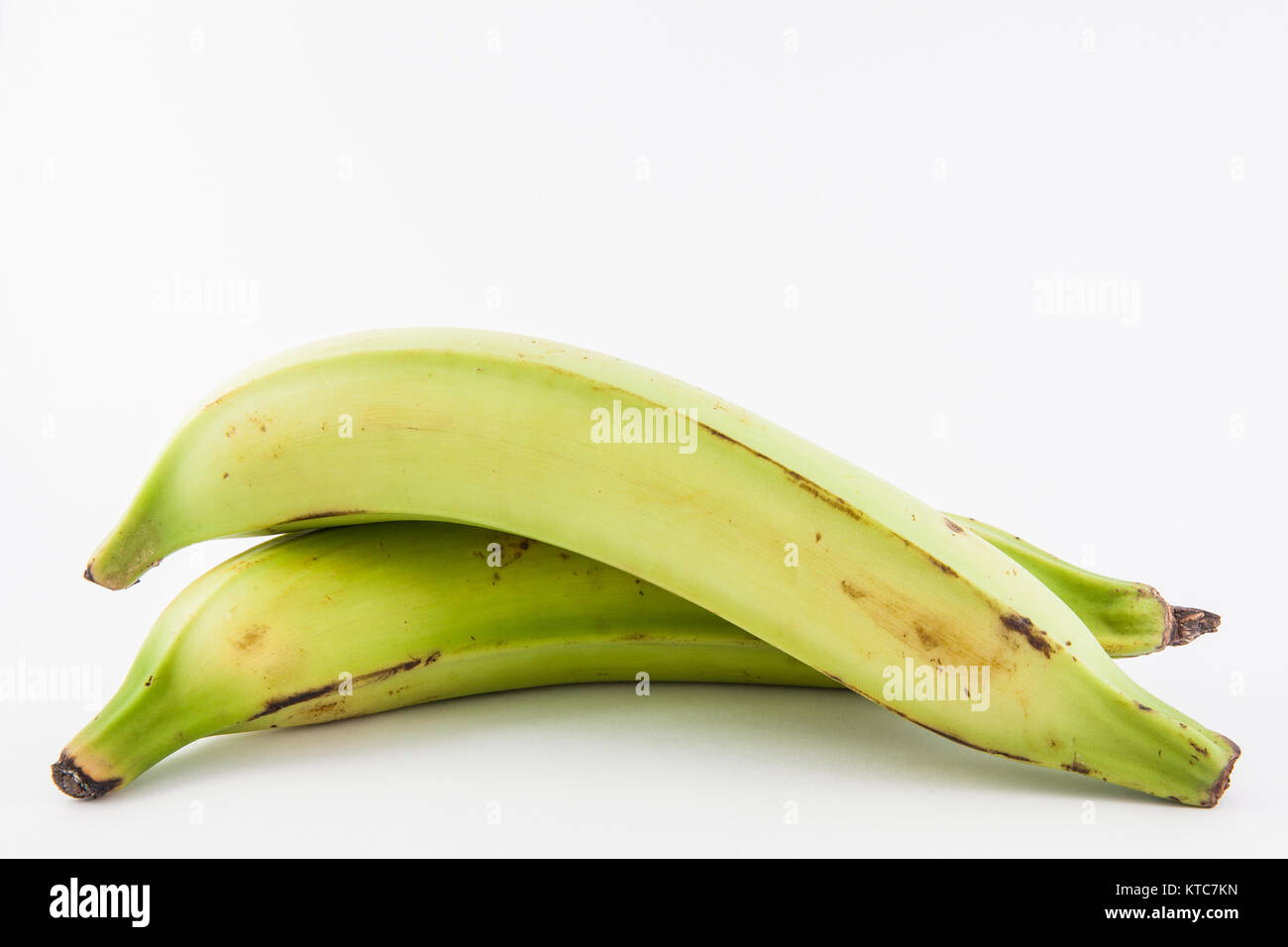 La banane verte ou plantain (Musa x paradisiaca Photo Stock Alamy