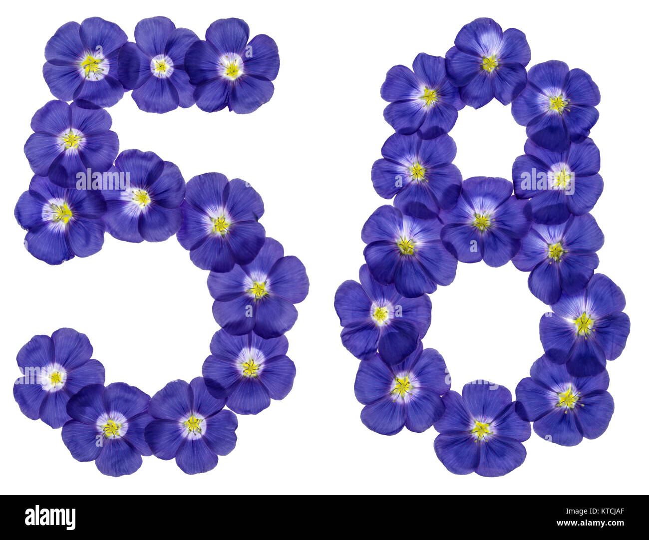 Chiffre arabe 58, cinquante huit, à partir de fleurs bleues du lin, isolé sur fond blanc Banque D'Images