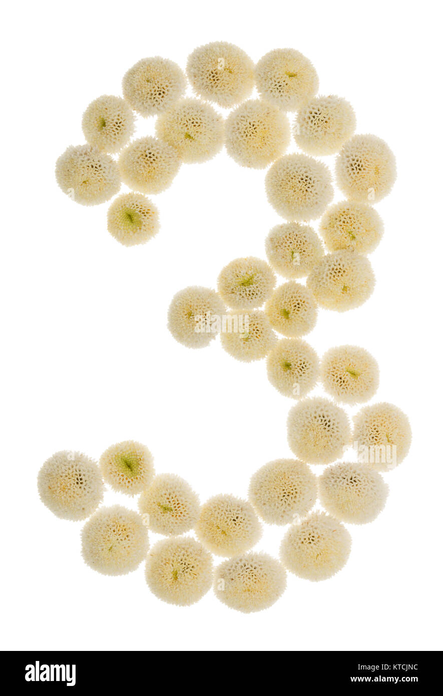 Chiffre arabe 3, trois, à partir de crème fleurs de chrysanthème, isolé sur fond blanc Banque D'Images