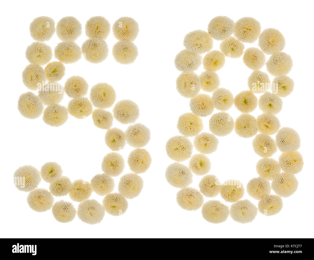 Chiffre arabe 58, cinquante huit, à partir de crème fleurs de chrysanthème, isolé sur fond blanc Banque D'Images