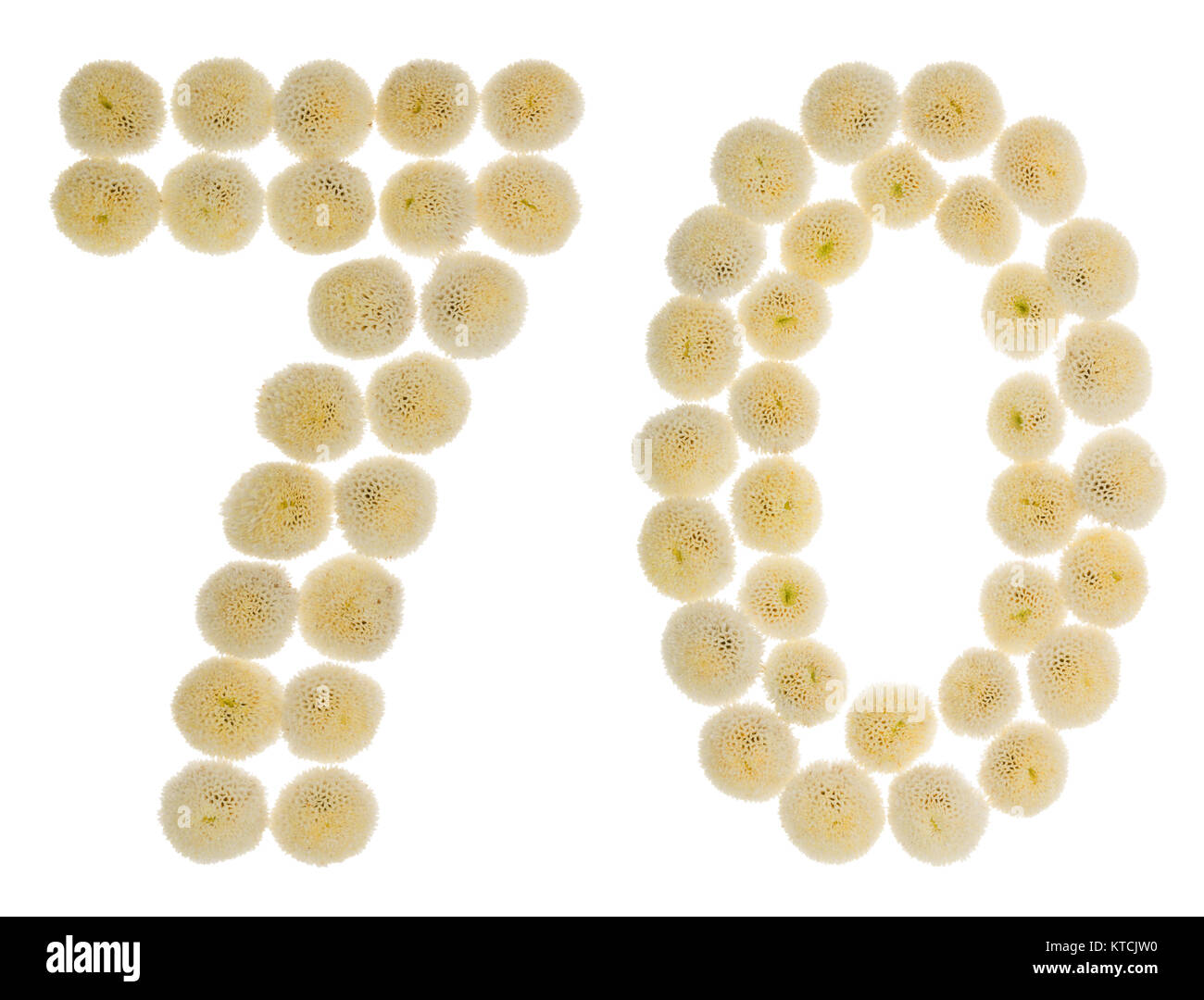 Chiffre arabe 70, soixante-dix, à partir de crème fleurs de chrysanthème, isolé sur fond blanc Banque D'Images