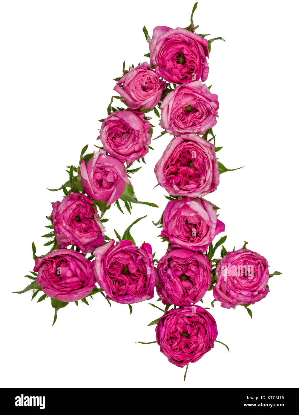 Chiffre arabe 4, quatre, de fleurs de rose, rouge isolé sur fond blanc Banque D'Images
