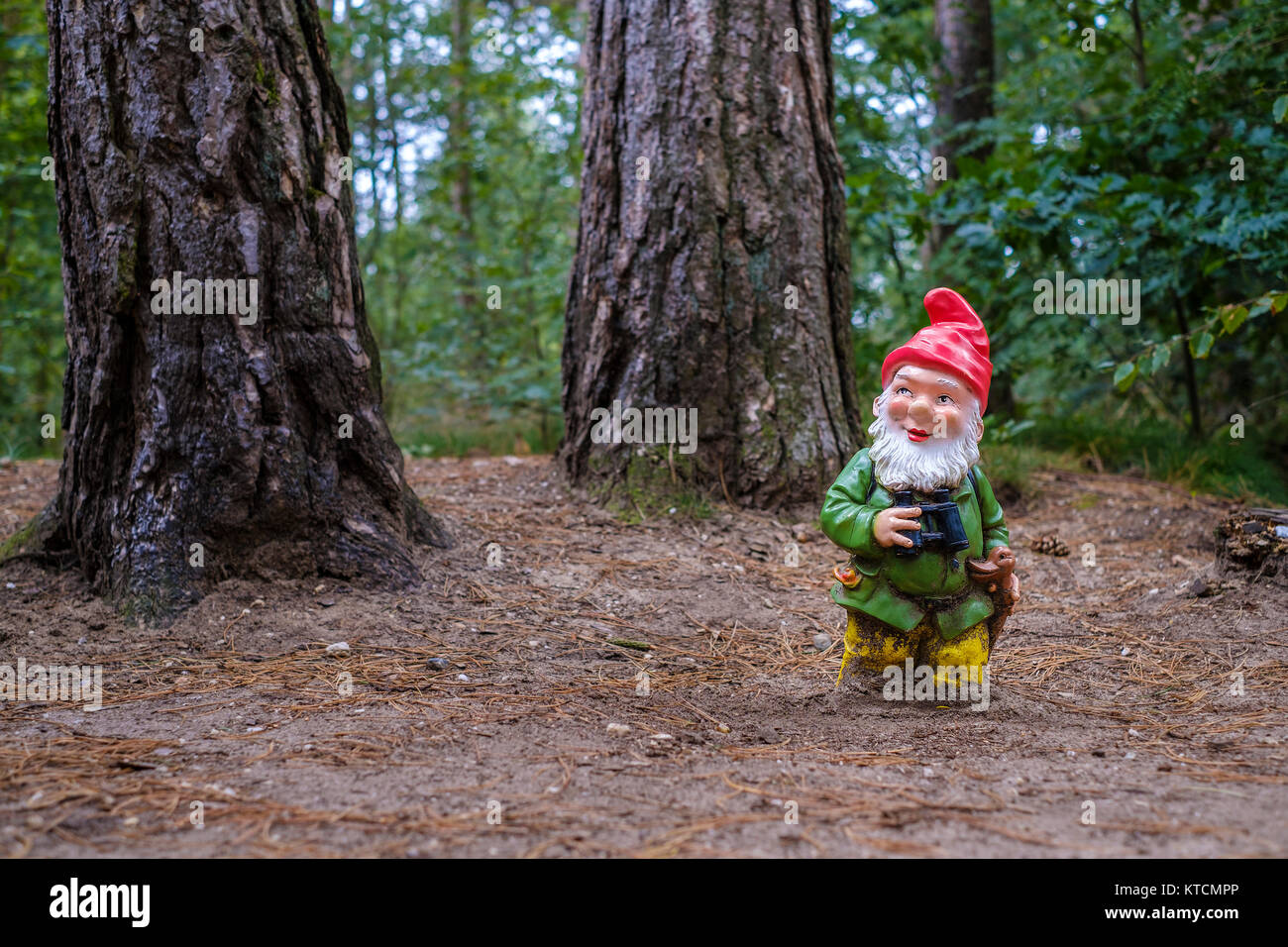Petit jardin gnome avec barbe et chapeau pointu rouge et des jumelles est seul dans la forêt Banque D'Images
